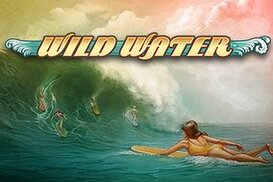 Популярный игровой автомат казино Риобет — Wild Water